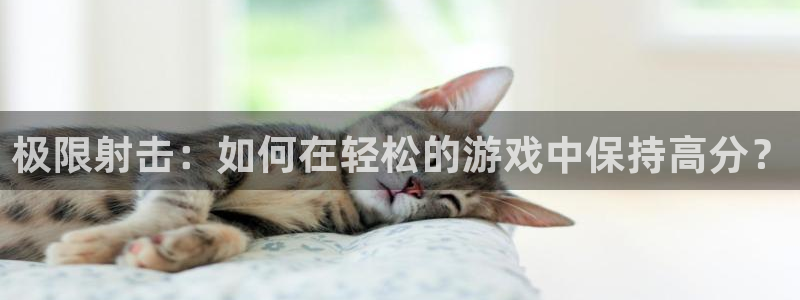 金年汇app官方入口app官方版下载