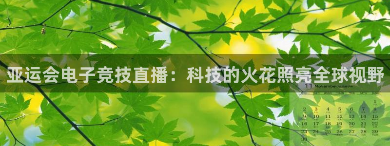 蓝鲸体育tv版下载：亚运会电子竞技直播：科技的火花照亮全球视野