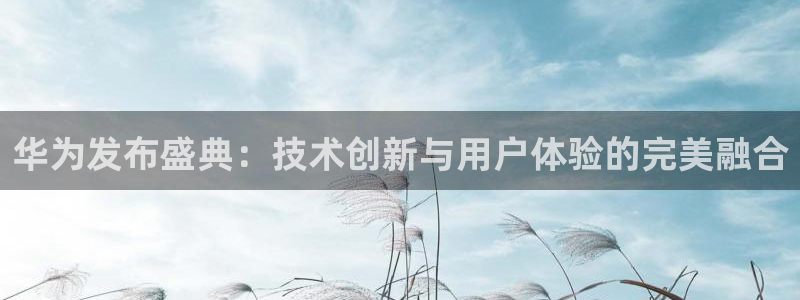 蓝鲸直播男：华为发布盛典：技术创新与用户体验的完美融合