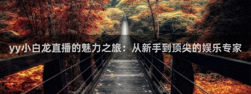 蓝鲸直播改名叫什么了：yy小白龙直播的魅力之旅：从新手到顶尖的娱乐专家