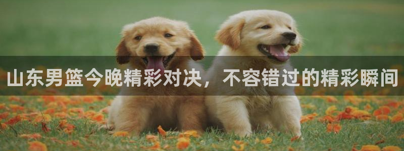 蓝鲸鱼直播：山东男篮今晚精彩对决，不容错过的精彩瞬间