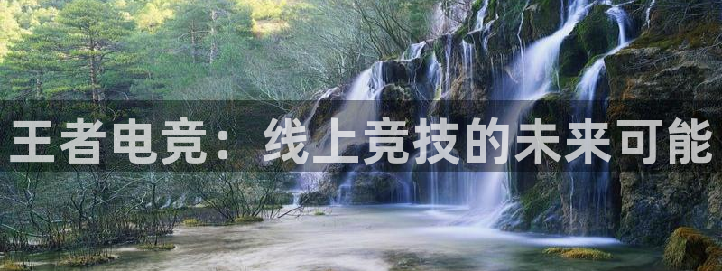 蓝鲸体育高清直播官网入口：王者电竞：线上竞技的未来可能