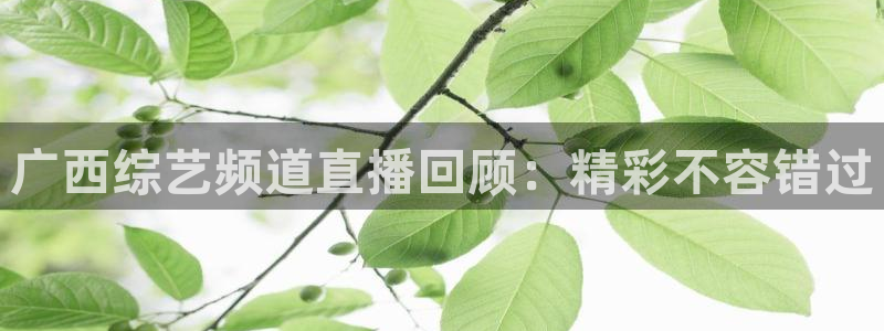 蓝鲸的视频真实：广西综艺频道直播回顾：精彩不容错过